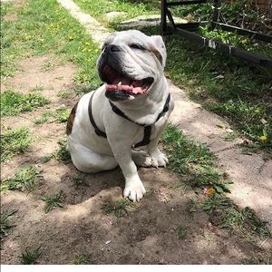 Meet your Posher, Erik